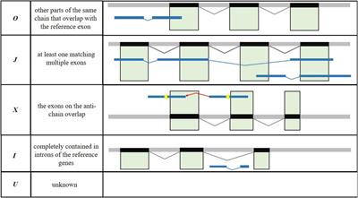 Full-Length Transcriptome of the Whale Shark (Rhincodon typus) Facilitates the Genome Information